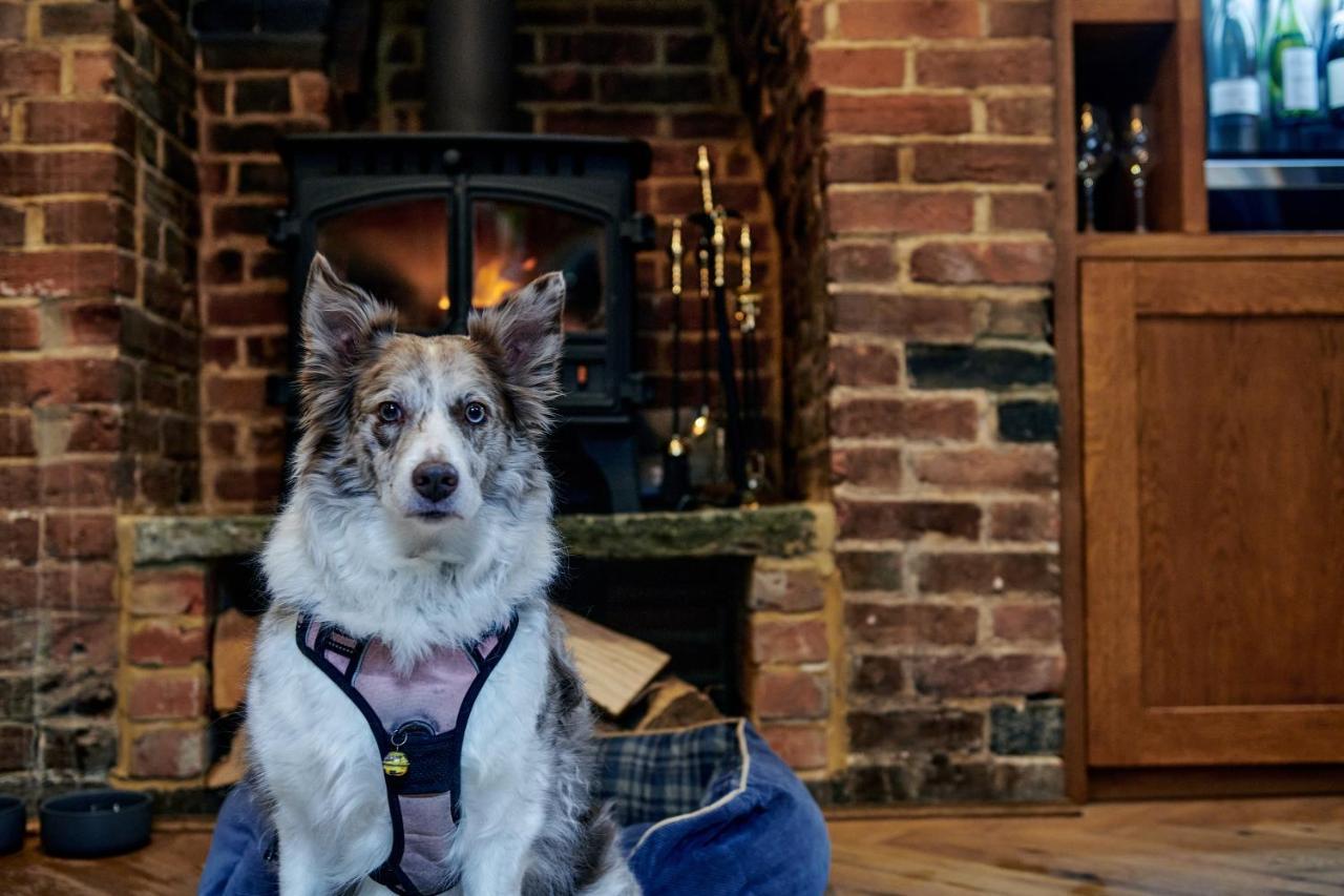 Hare And Hounds - Newbury Hotell Newbury  Exteriör bild
